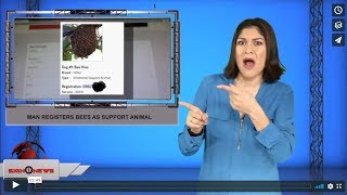 Man registers bees as support animal (ASL - 12.8.19)