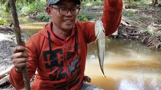 Induknya sembunyi dapatnya kocolan