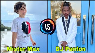 Mister Max Vs Dj Panton Lifestyle Comparison 2024