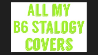 All Reasonably Priced B6 Stalogy Covers