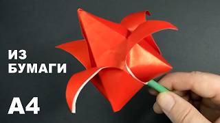 Как сделать ТЮЛЬПАН из бумаги | How to Make a Paper Tulip