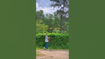 MÁY CẮT TỈA HÀNG RÀO CÂY CẢNH / 037.347.9898