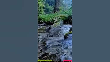 Thumbnail of Lions Gate Energy