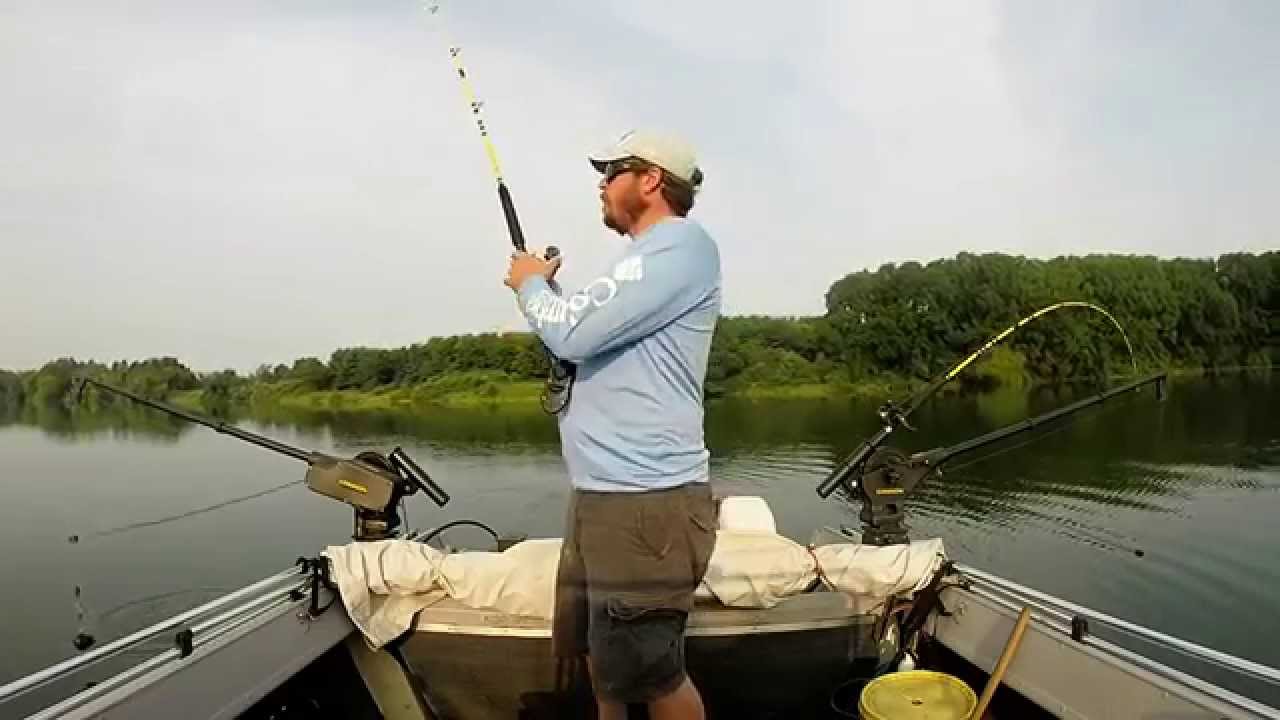 Trolling for Hybrid Stripers 4th of July Weekend. YouTube