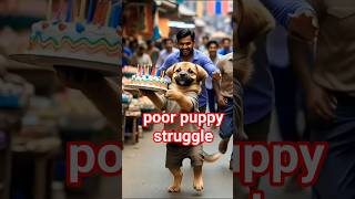 poor puppy struggle in life😰 #shorts #shortsfeed #poor #cat #feed #shortvides #streetpaws  #cutepup