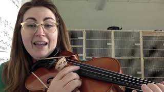 a string notes on violin and switching between high d/low d