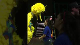 Stephanie Meets Big Bird