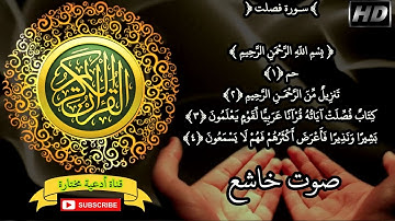 سورة فصلت |  تلاوة تأخذك إلى عظمة الله | صوت تقشعر لها الأبدان والأرواح | سكنية مع القرآن |