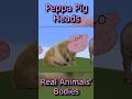 Realistic animals with Peppa Pig heads (in Minecraft)