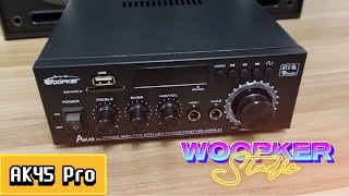 Woopker AK45 Pro Stereo 2.0 Bluetooth Amplifier Test #bluetoothamplifier #dj #homeaudio #hifi #bass