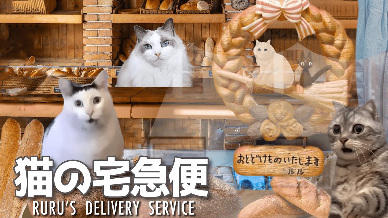 ネコの宅急便 猫ミーム」猫の宅急便 完全版 Live-action adaptation of Kiki's