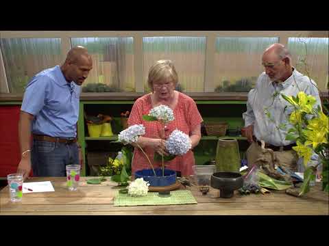 Video: Ikebana Information: Att odla växter för Ikebanas blomsterarrangemang