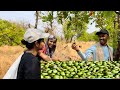 आज आणले खूप सारे काजू 😍❤️💯 | आणि खाल्ली करवंदाची फूलं 😋❤️💯 |