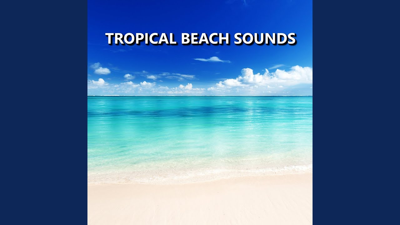 Captivating Hawaiian Ocean Waves