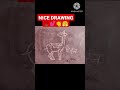 #shorts#class 9/10 drawing 🐅🐆🌺💃🦒#viral video#