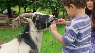 Worthington Commercial V2 Mark Commercial