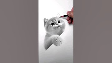 How to draw a cute cat | Drawing a Cat #shorts #drawing #art