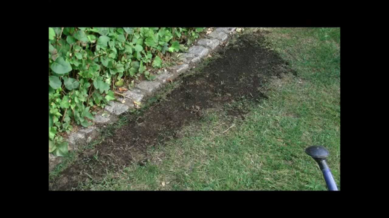 Rasen Problemzonen nachsen und ausbessern - Gemisch aus Rasensamen und  Blumenerde