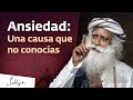 Una causa importante del trastorno de ansiedad  sadhguru espaol