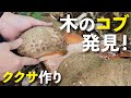 木のコブ発見！ククサ作りに挑戦