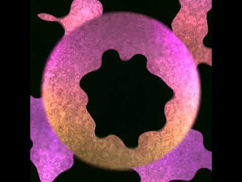 Ferrofluid responding to music