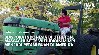 Diaspora Indonesia di Littleton, Massachusetts Wujudkan Mimpi Menjadi Petani Buah di Amerika