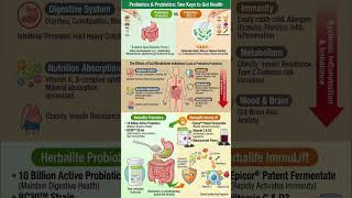 🔥 Gut Health = Whole Body Health! Probiotics + Prebiotics – Are You Getting Them Right?
