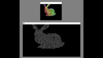 Software Renderer