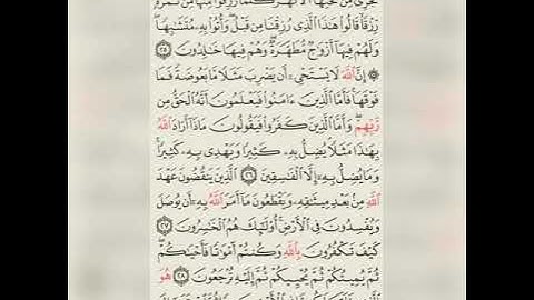 الورد اليومي من القران الكريم _ سورة البقرة الصفحة رقم 5 _ الجزء الاول