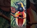 #fyppppp #pngvibes #png