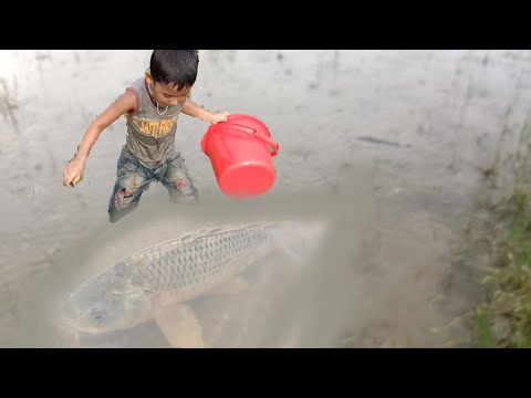 Best Hand Fishing Video - Amazing Boy Catching Fish By Hand in Mud Water