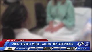 Famous Abortion bill would allow for exceptions in Tennessee Wealth