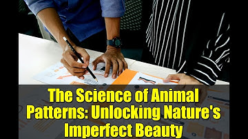 The Science of Animal Patterns: Unlocking Nature