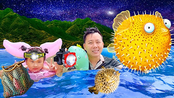 Changcady đi bắt cá biển ban đêm, bắt được cá nóc, cá ngát, cua biển