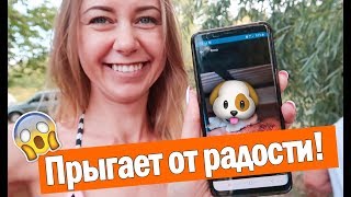 МЫ ПОКУПАЕМ СОБАКУ? МЫ ПОКУПАЕМ СОБАКУ?
