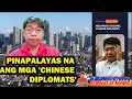 Magandang araw 05122024  pinapalayas na ang mga chinese diplomats