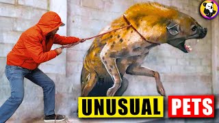 Unusual Animals That People ACTUALLY Own As Pets!