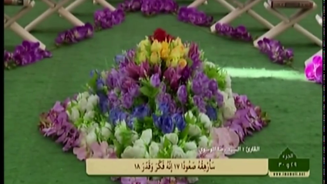 قران النجف الاشرف(29): ترتيل الجزء التاسع والعشرون من القران الكريم, 1436 ق