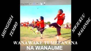 Shingisha tembo ft mwijukuu wa mwanalundi song twikolile