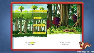 Layers Of The Rain Forest Level D - Interactive Stories For Kids