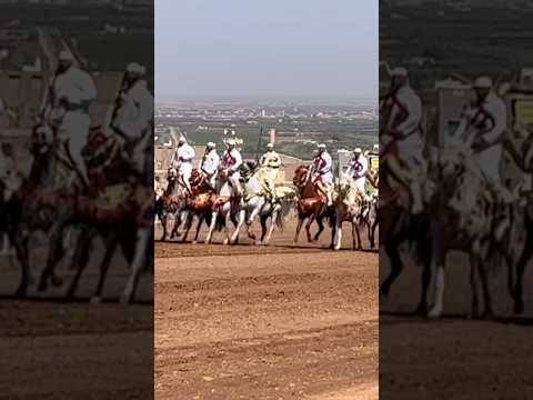 گاليه لي جاور جاور دار كبيرة شيخ التبوريدة س الجيلالي التارماستي 