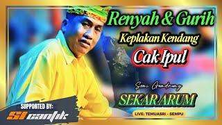 Mantul! Kendang Cak Ipul Gandrung SEKAR ARUM | Si Cantik Audio 