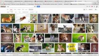 Create a Portfolio Website in WordPress - 2015