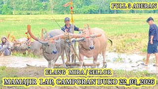 ELANG MIRA / SELLOR || FULL 3 ABERAN || BOSS AMSANI DUKO, MAMAJIR LAP, CAMPORAN DUKO 22_03_2026