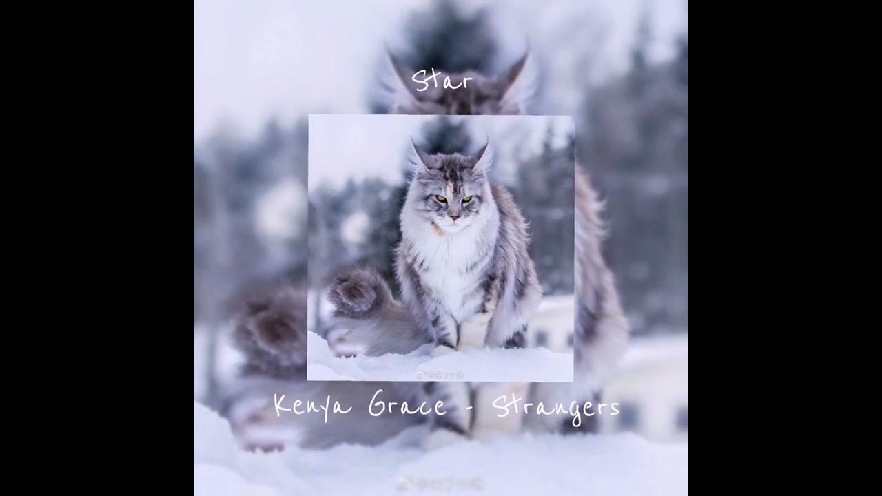 Kenya Grace - Strangers #kenyagracestrangers #speedsongs #spedupsongs