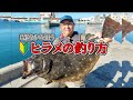 堤防からヒラメを釣る方法は簡単!座布団ヒラメも夢じゃない!