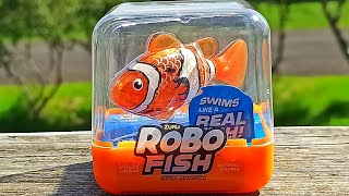 Robo Fish Water Activated From Zuro