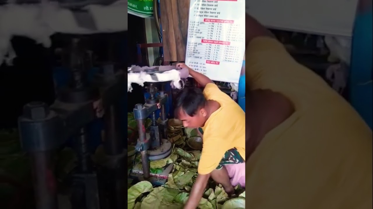 Plates making machine l Paper and leaf plates making 