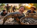 จักพิสัง | หาอยู่หากินแบบบ้านๆ | หว่านแห่ปลาช่อนนา ฤดูแล้ง โคตรฟิน!