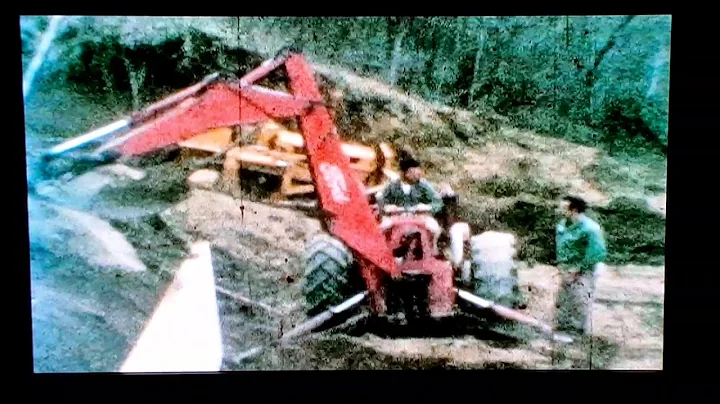 many Lyons excavating & playing in the dirt